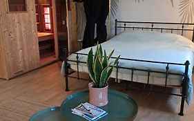 Appartement X